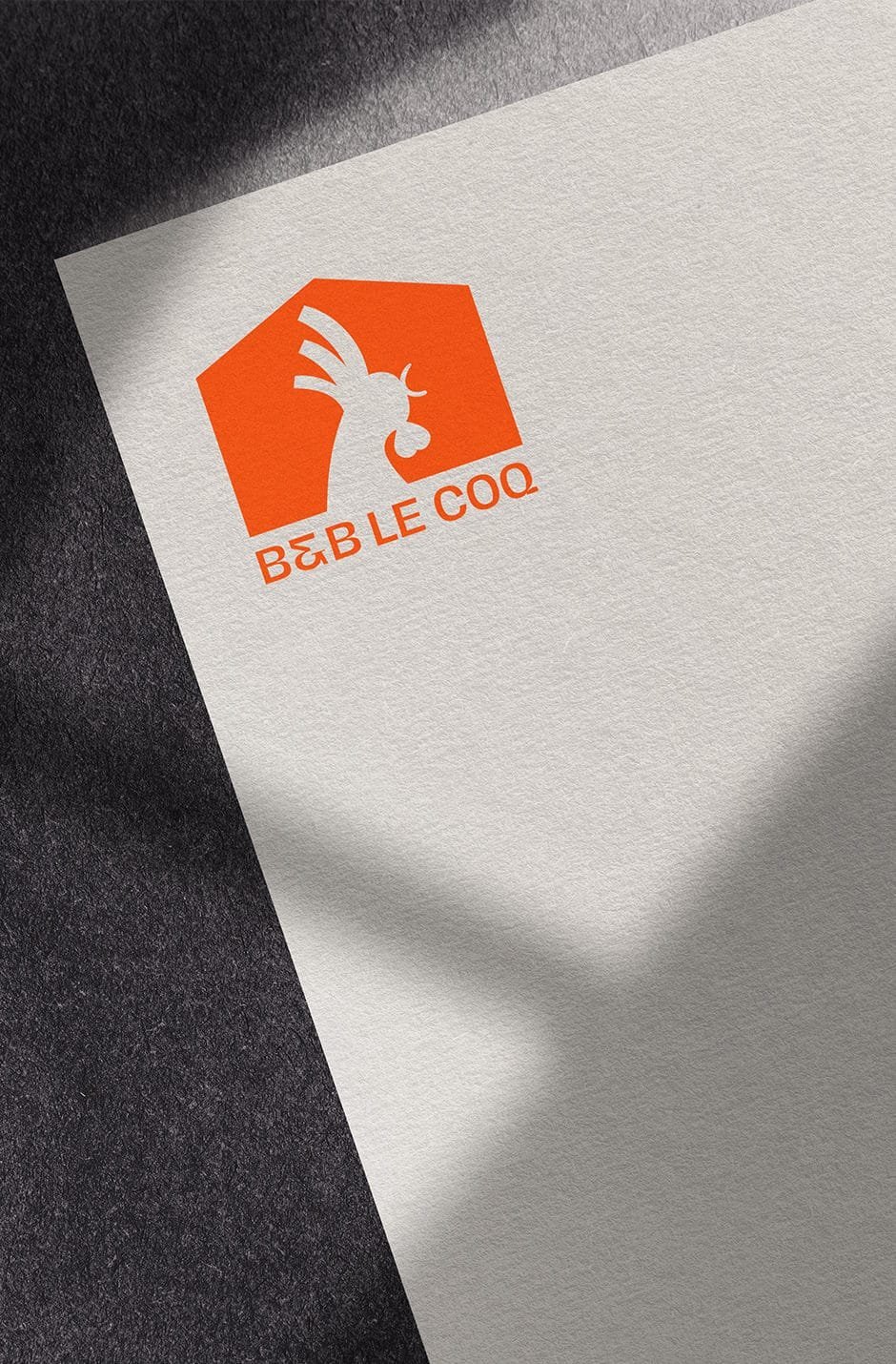 Logo design with clean typography